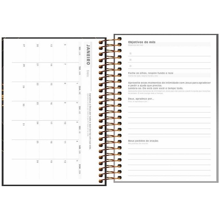 Agenda Bíblica M5 2025 Tilibra 314269 - Imagem 3