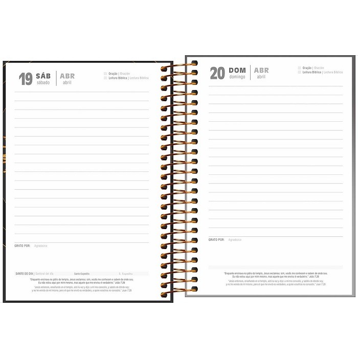 Agenda Bíblica M5 2025 Tilibra 314269 - Imagem 4