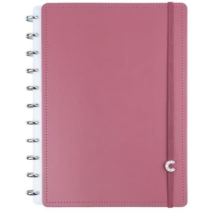 Caderno Inteligente 10 Matérias Grande Guava 140 Folhas CIGD4406