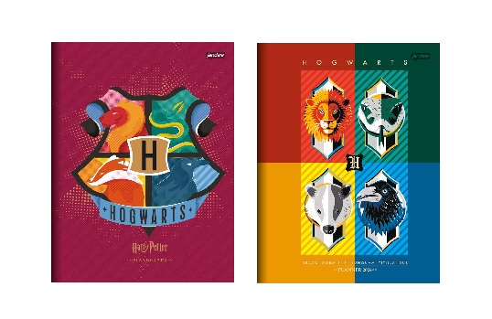Agenda Brochura Planner Mensal Flexível Harry Potter Jandaia