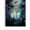 CADERNO 01X1 UNIVERSITARIO CD GALAXY 96FLS FORONI 3165409