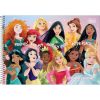 Caderno Cartografia E Desenho Princesas 80Fls Capa Dura Tilibra 309061