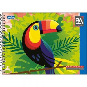 CADERNO CARTOGRAFIA ESPIRAL CF MILIMETRADO 48 FLS JANDAIA