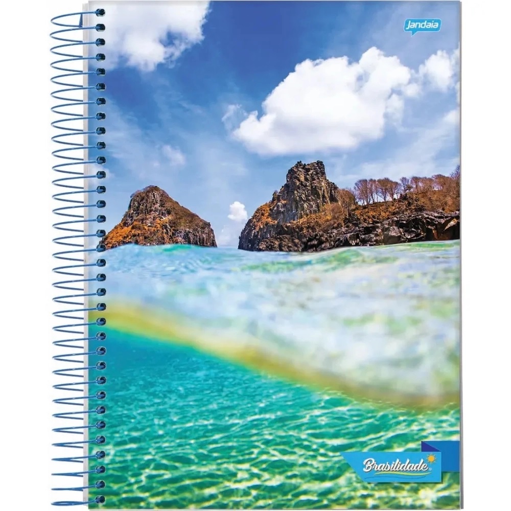 Caderno Espiral 1/4 Capa Dura Brasilidade 200 Folhas Jandaia - Imagem 4
