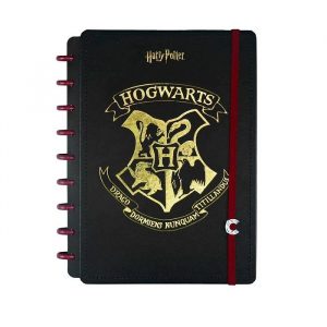 Caderno Inteligente Médio Harry Potter 80 Folhas 7573924