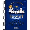 Caderno Universitario 01 Matéria Harry Potter 96 Folhas - Jandaia 6359922