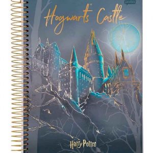 Caderno Universitário 10 Matérias Harry Potter 200Fls Jandaia 6360022