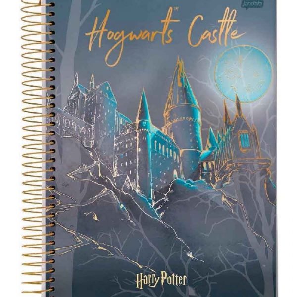 Caderno Universitário 10 Matérias Harry Potter 200Fls Jandaia 6360022