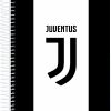 Caderno Universitário 10 Matérias Juventus 160Fls Jandaia 6938521