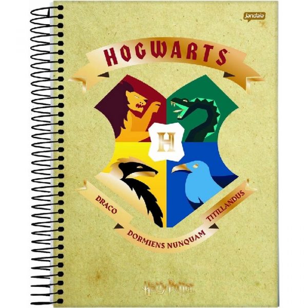 Caderno Universitário 12 Matérias Harry Potter 240Fls Jandaia 6360119