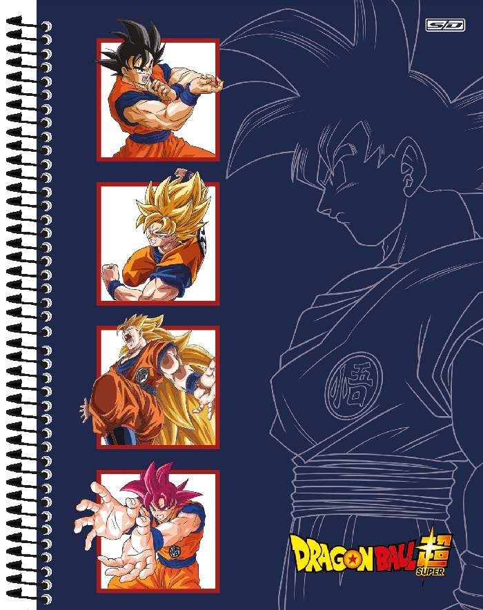 Caderno Cartografia Desenho Capa Dura Costurado Dragon Ball - Capa D - São  Domingos