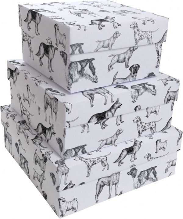 Caixa Presente Up box Quadrada The Dogs Pequena