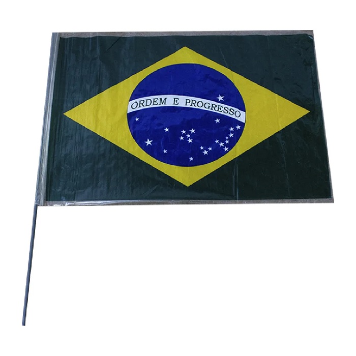 Bandeira Do Brasil Plástica 30cm x 45cm Com Haste Copa Do Mundo