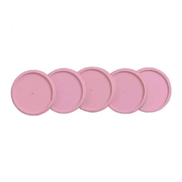 Disco + Elastico Caderno Inteligente (23mm) Rosa Sertão 15 Peças CI231035