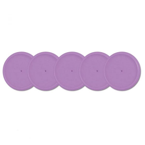 Disco + Elastico Caderno Inteligente (31mm) Roxo Dos Pampas 15 Peças CI312018