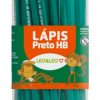 LAPIS PRETO LEOLEO N2 HB COM BORRACHA SEXTAVADO VERDE CX72 4390