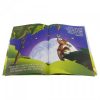 LIVRO INFANTIL CLASSICOS INESQUECIVEIS A RAPOSA E AS UVAS BRASILEITURA