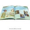 LIVRO INFANTIL DICIONARIO BIBLICO SBN EDITORA