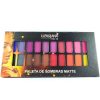Maquiagem Paleta Sombras Matte 20 Cores - Ludurana B0048