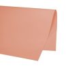 PAPEL COLOR SET VMP LISO SALMAO 66X48CM AVULSO