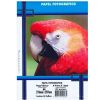 PAPEL FOTO MASTERPRINT JATO TINTA GLOSSY A4 135GRS PCT50