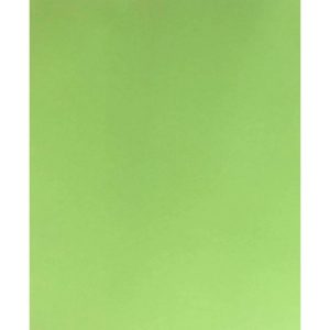Placa de EVA 40cm x 60cm Liso Verde Limão