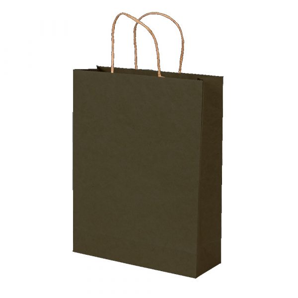 Sacola Presente Premium Kraft M Color Verde Up Box 2486