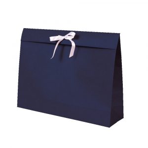 Sacola Presente Up box Kraft Azul Grande