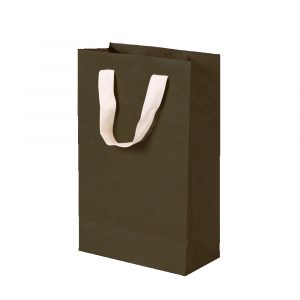 Sacola Presente Up Box Kraft Lisa Verde P 3744