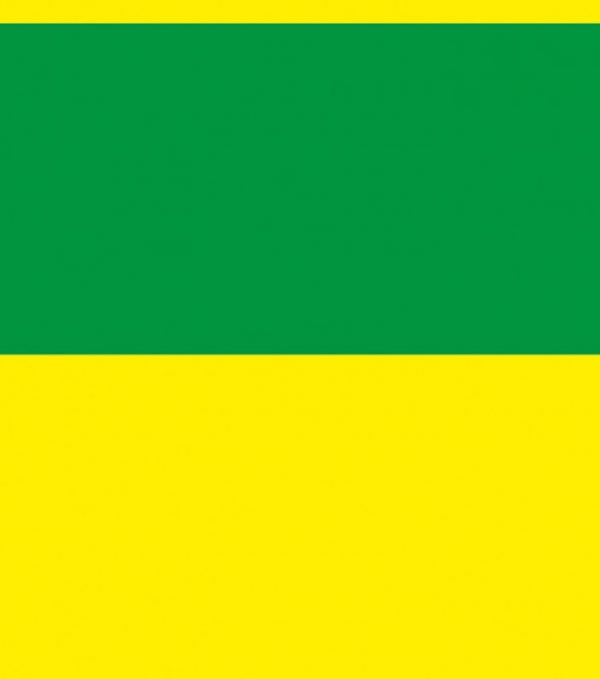 Tecido Estampado TNT Mewi Brasil Verde E Amarelo - Copa do Mundo 02063