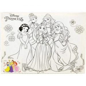 Tela para pintura 30X25cm Princesas Disney